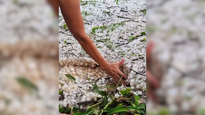 Forte chuva de granizo cobre vegetação de gelo e provoca prejuízos na zona rural do Alto Paranaíba