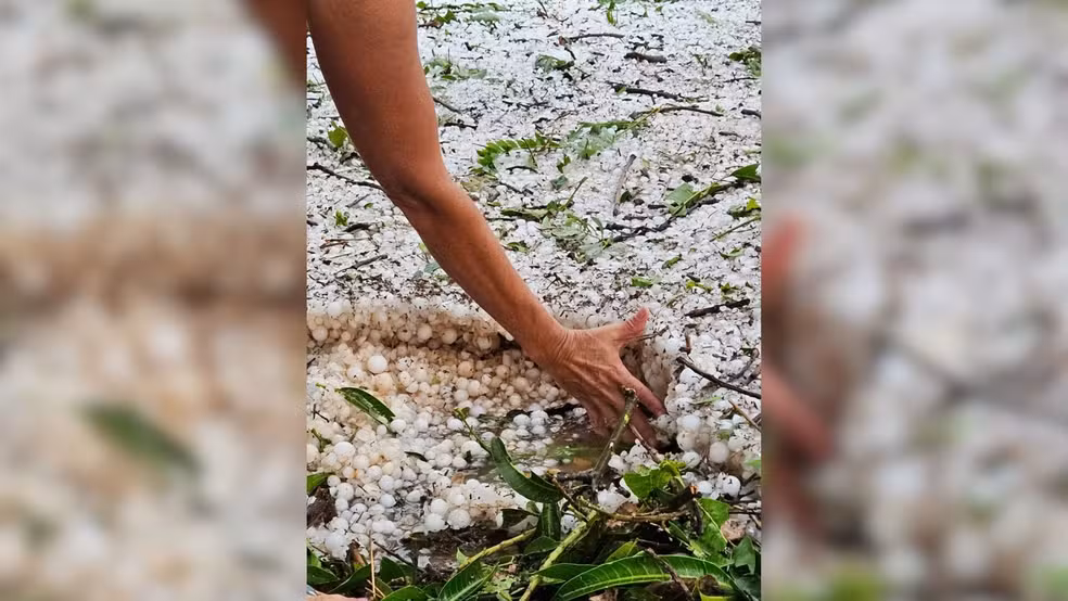 Forte chuva de granizo cobre vegetação de gelo e provoca prejuízos na zona rural do Alto Paranaíba